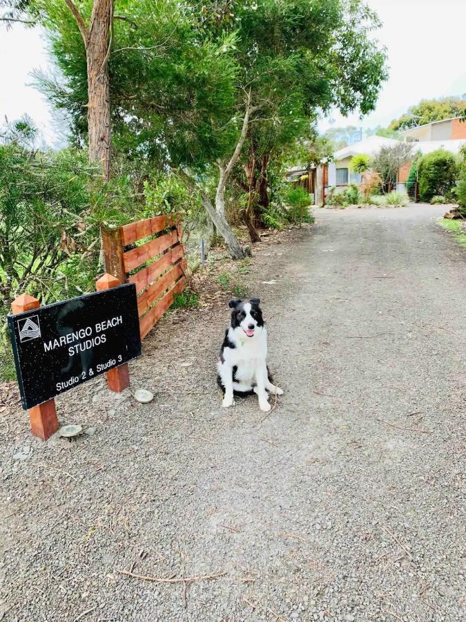 Marengo Beach Studios- Pet Friendly Екстер'єр фото